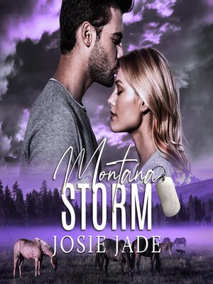cover image of Montana Storm